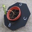 その他の作品